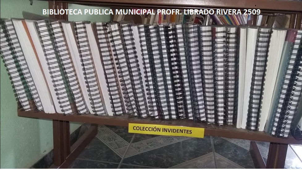 imagen3